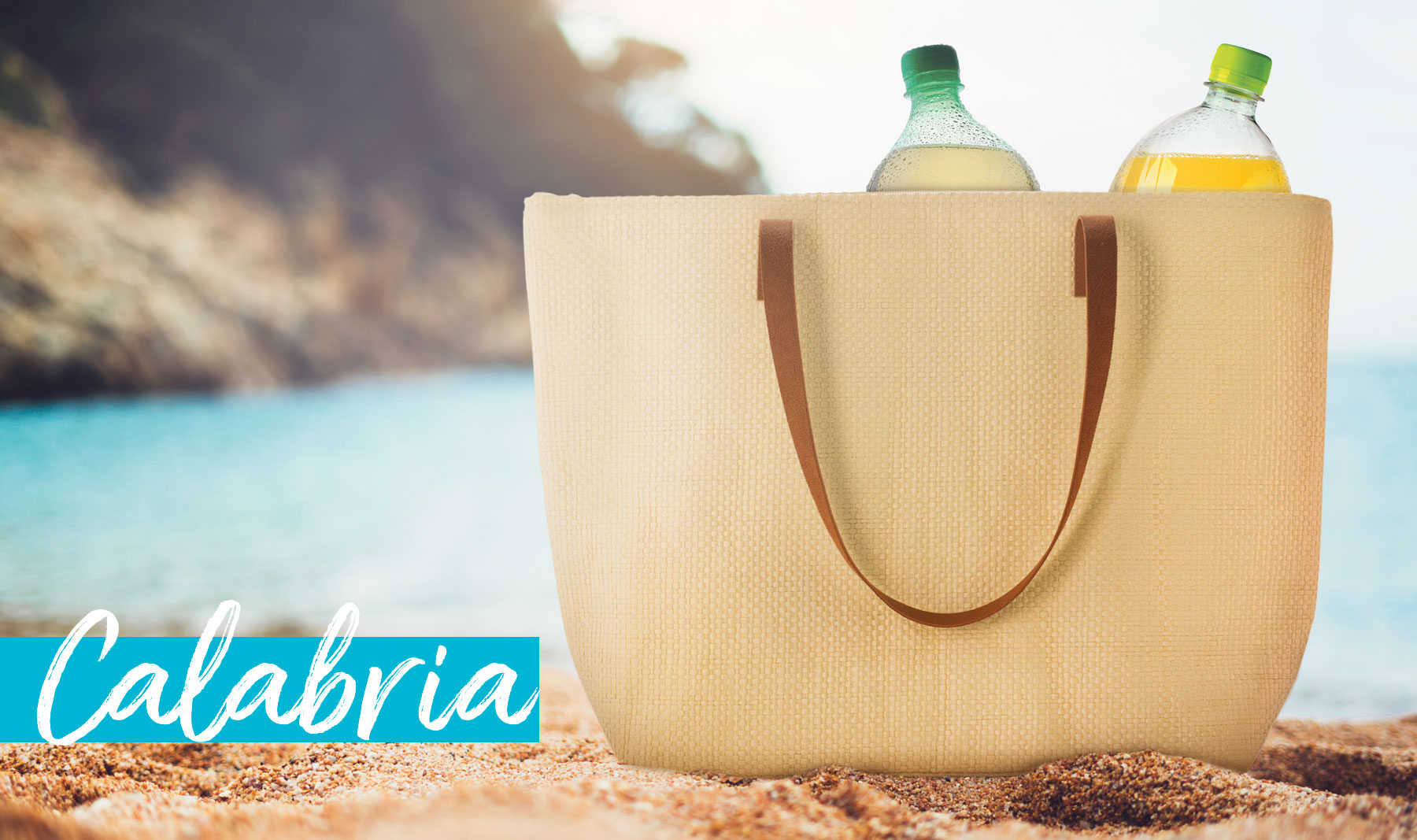 COOLER BAG  