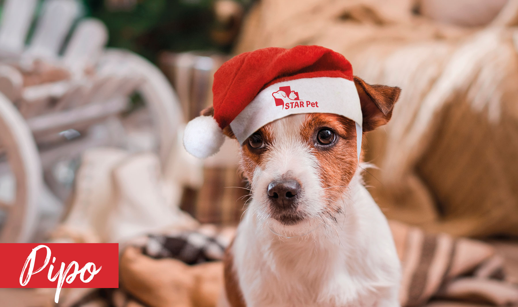 GORRO NAVIDEÑO PARA MASCOTAS "PIPO"