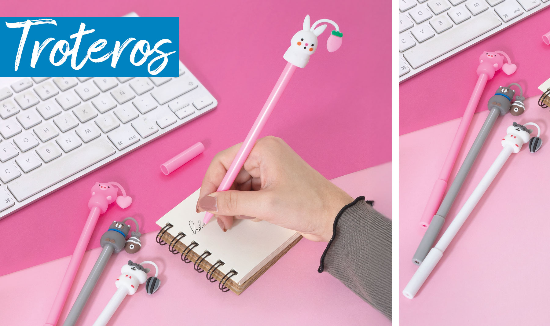 SET DE BOLÍGRAFOS TINTA LÍQUIDA "TROTEROS" (PACK 40)