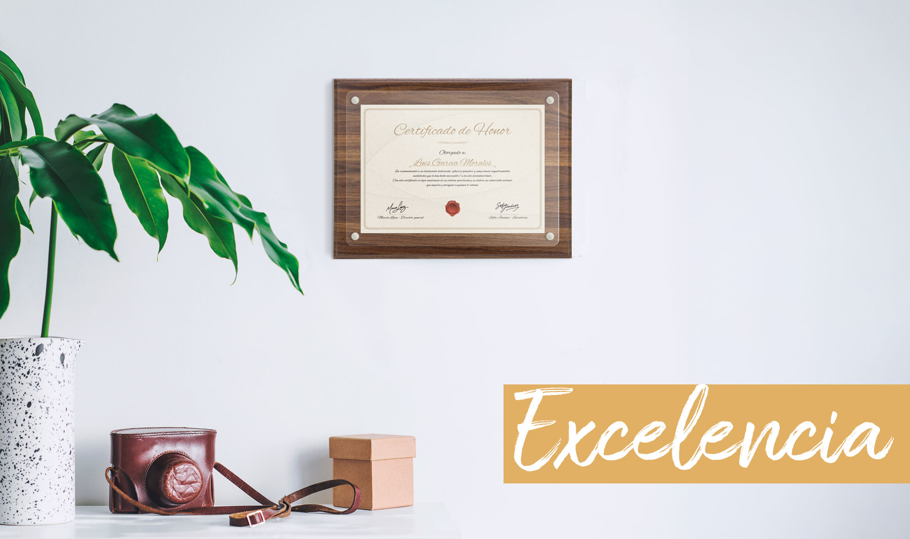 MARCO DE MADERA DIPLOMA A4 "EXCELENCIA"