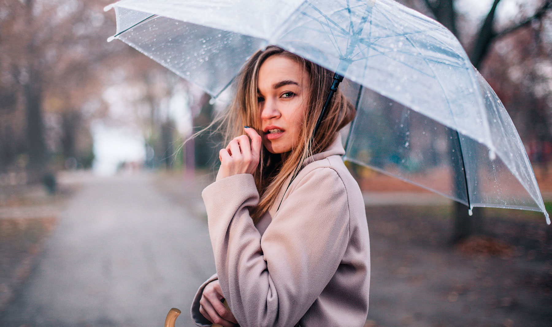 AUTOMATIC TRANSPARENT UMBRELLA 