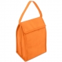 9 CANS COOLER BAG BEIGE COLOUR 9 CANS COOLER BAG BEIGE COLOUR