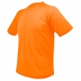 MAN LIGHT D&F T-SHIRT "LAYTON" MAN LIGHT D&F T-SHIRT "LAYTON"