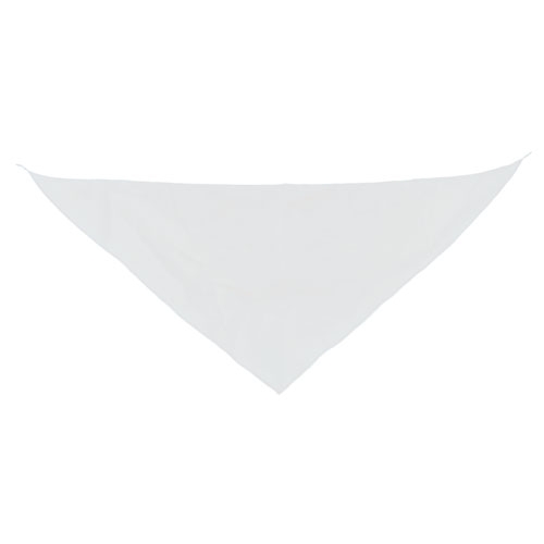 TRIANGULAR PENNANT