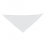 TRIANGULAR PENNANT TRIANGULAR PENNANT