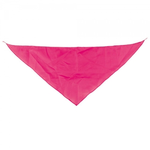 TRIANGULAR PENNANT TRIANGULAR PENNANT