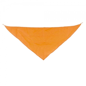 TRIANGULAR PENNANT TRIANGULAR PENNANT