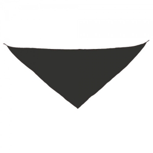TRIANGULAR PENNANT TRIANGULAR PENNANT