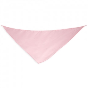 TRIANGULAR PENNANT TRIANGULAR PENNANT