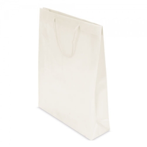 PVC GIFT BAG PVC GIFT BAG