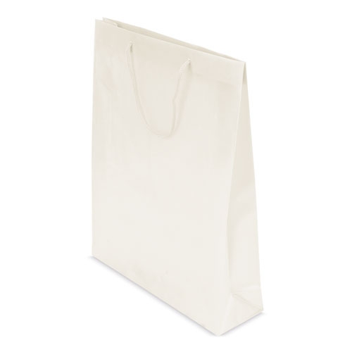 PVC GIFT BAG "PRESS"
