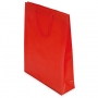 PVC GIFT BAG PVC GIFT BAG