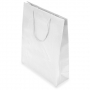 PVC GIFT BAG PVC GIFT BAG