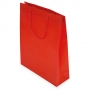 PVC GIFT BAG PVC GIFT BAG