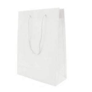 PVC GIFT BAG PVC GIFT BAG