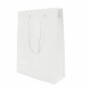 PVC GIFT BAG PVC GIFT BAG