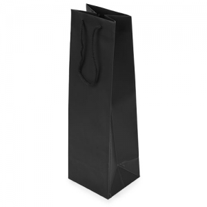 PVC GIFT BAG PVC GIFT BAG