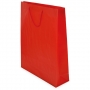 PVC GIFT BAG PVC GIFT BAG