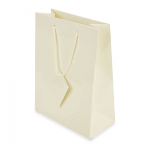 PLASTIFIED GIFT BAG PLASTIFIED GIFT BAG