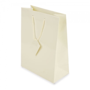 PLASTIFIED GIFT BAG PLASTIFIED GIFT BAG