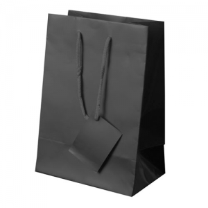 PLASTIFIED GIFT BAG PLASTIFIED GIFT BAG