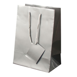 PLASTIFIED GIFT BAG PLASTIFIED GIFT BAG