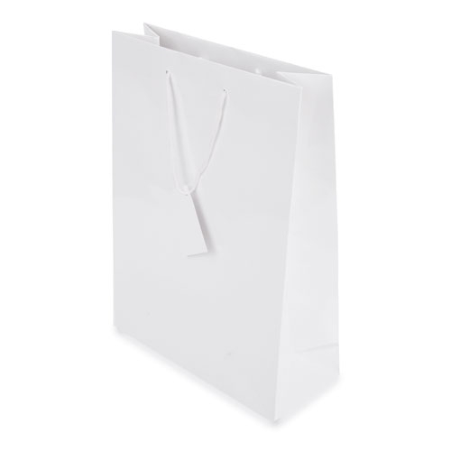 PLASTIFIED GIFT BAG "ABBY"