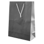 PLASTIFIED GIFT BAG PLASTIFIED GIFT BAG