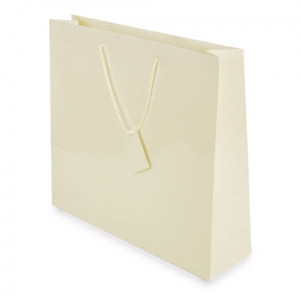 PLASTIFIED GIFT BAG PLASTIFIED GIFT BAG