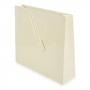 PLASTIFIED GIFT BAG PLASTIFIED GIFT BAG