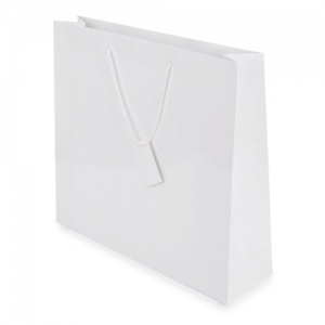 PLASTIFIED GIFT BAG PLASTIFIED GIFT BAG