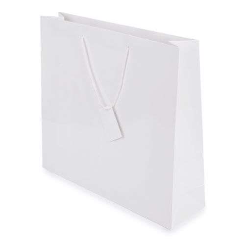 PLASTIFIED GIFT BAG 