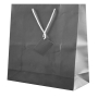 PLASTIFIED GIFT BAG PLASTIFIED GIFT BAG