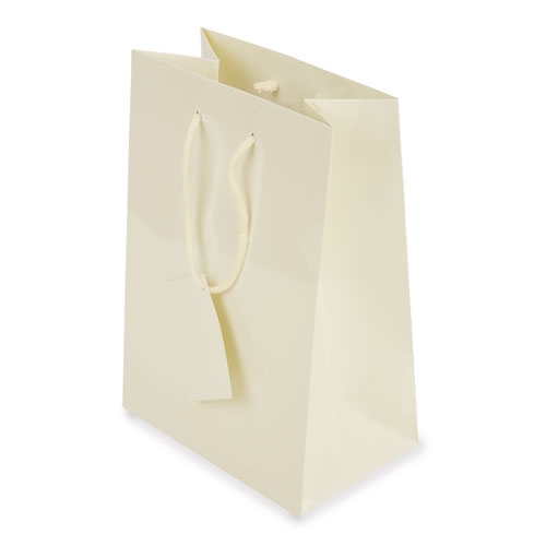 PLASTIFIED GIFT BAG "CALLI"