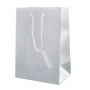 PLASTIFIED GIFT BAG PLASTIFIED GIFT BAG