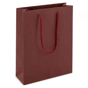 CARDBOARD BAG WITH LOOPSE HANDLE CARDBOARD BAG WITH LOOPSE HANDLE