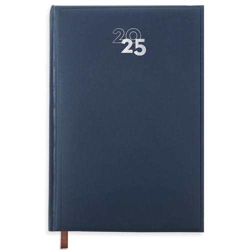 DAY/PAGE "DUBLIN" DIARY