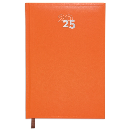 DAY/PAGE "DUBLIN" DIARY
