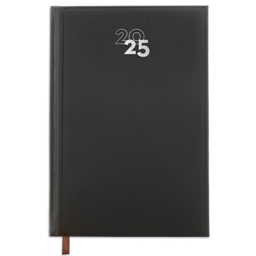 DAY/PAGE "DUBLIN" DIARY