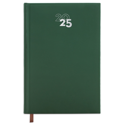 DAY/PAGE "DUBLIN" DIARY