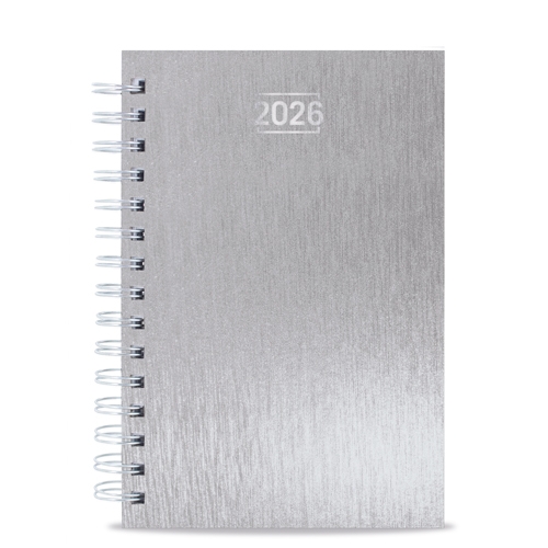 AGENDA ANILLA METALIZADA RAKI