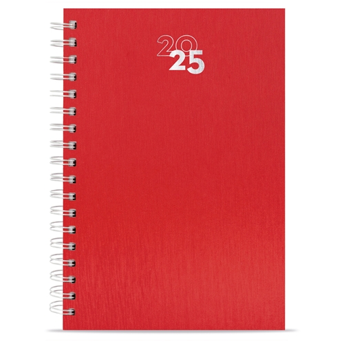 DIARY NICK