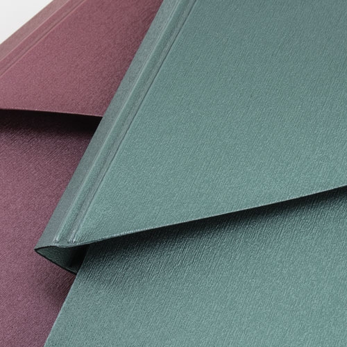 CARPETA CONGRESISTA "BROC"