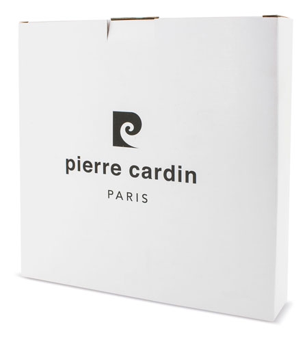 RELOJ STEEL PIERRE CARDIN