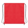 NON WOVEN BAG/ BACK-PACK NON WOVEN BAG/ BACK-PACK