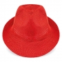 WIDE-BRIMMED HAT WIDE-BRIMMED HAT