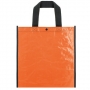 SHINING BAG SHINING BAG