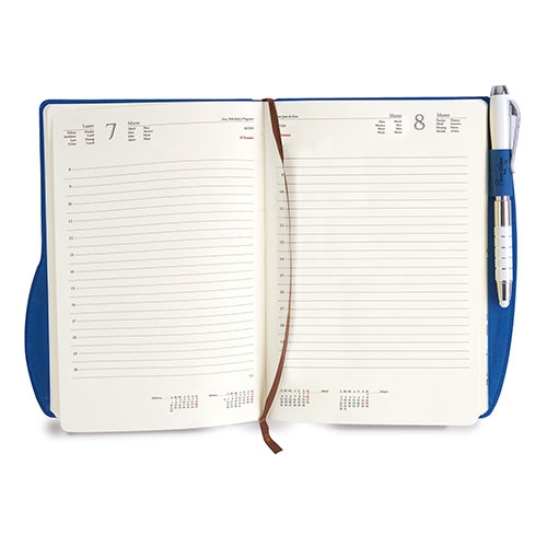 DIARY