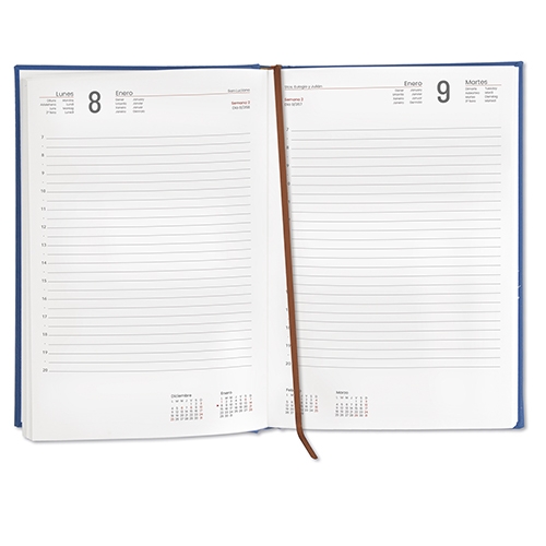 DIETARIO DUBLIN NARANJA DIA/PAGINA