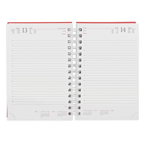 AGENDA ANILLA METALIZADA "RAKI"